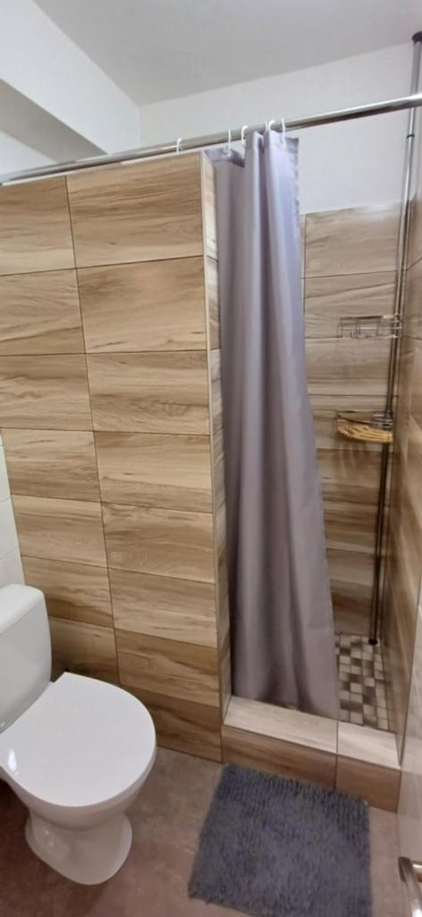 Penzion Marie Mesto Albrechtice エクステリア 写真